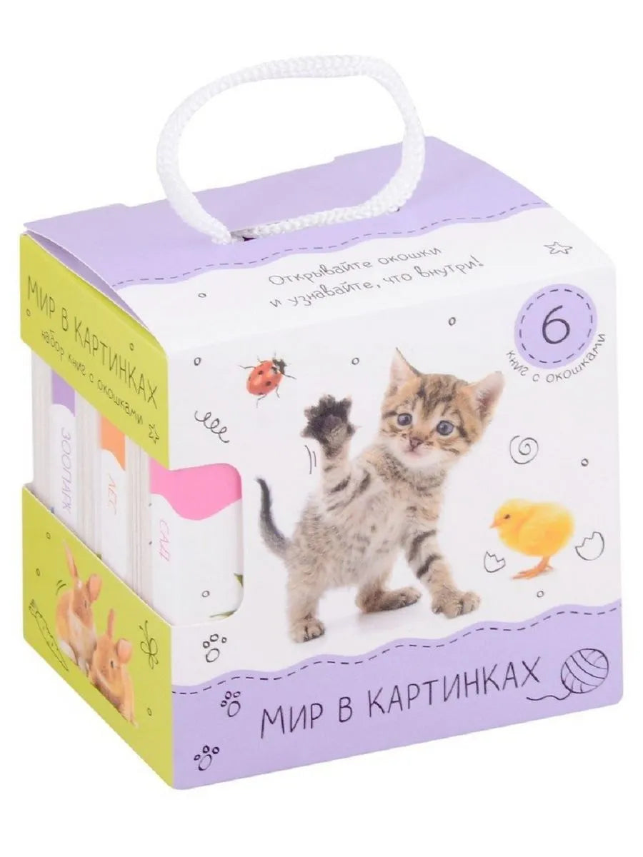 Шоубокс "Мир в картинках"