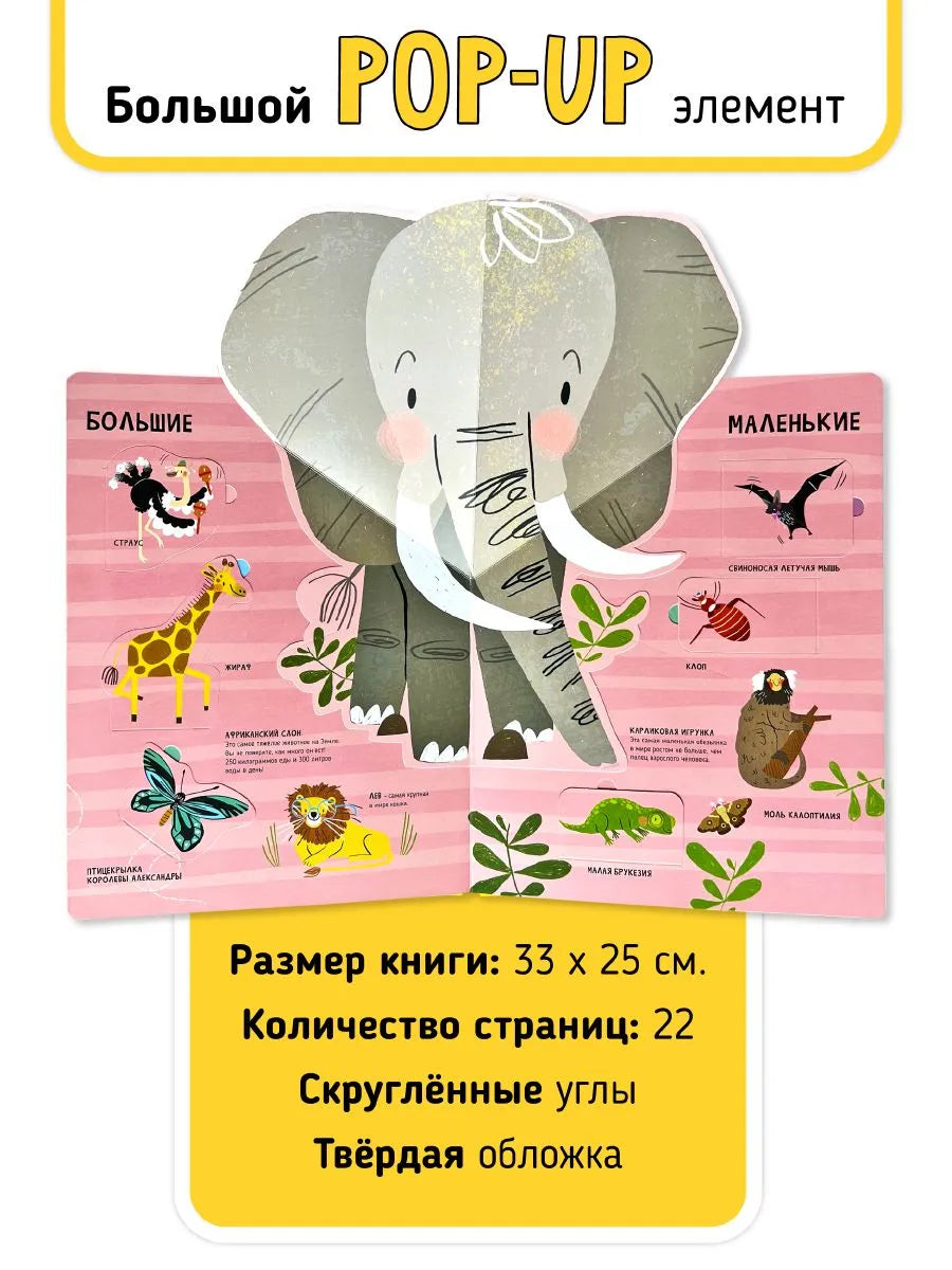 Мои первые открытия– Животные