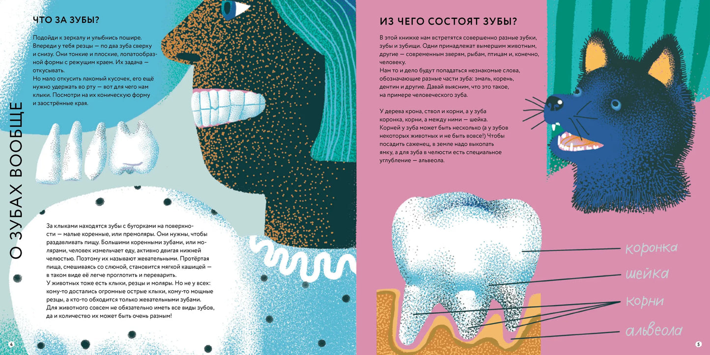 Зубки и зубищи. Автор Анна Фелисити