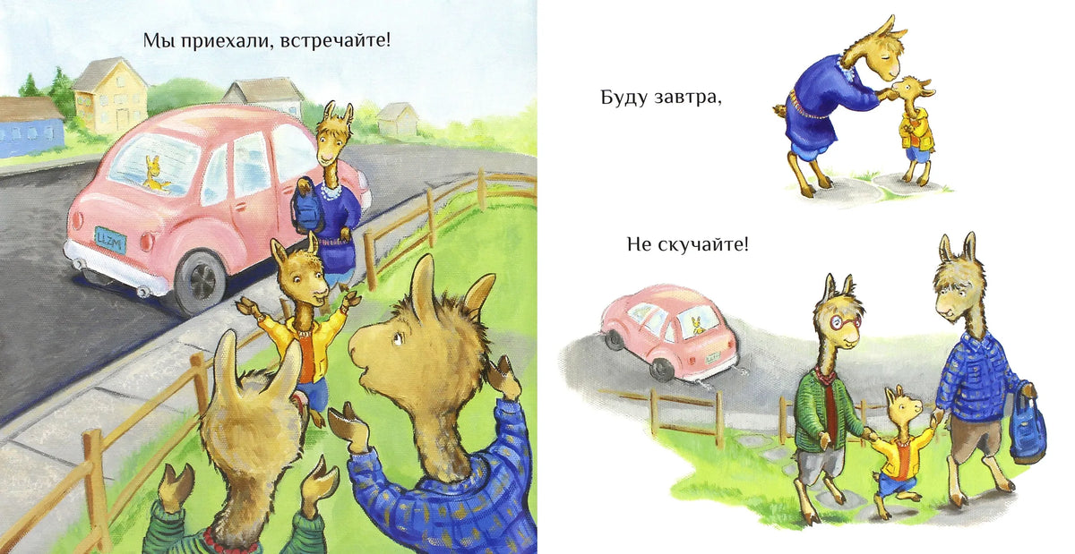 Лама в гостях у бабушки с дедушкой