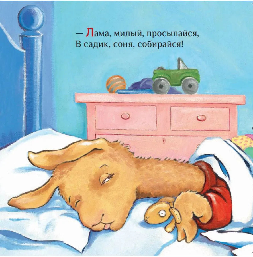 Лама в садике без мамы