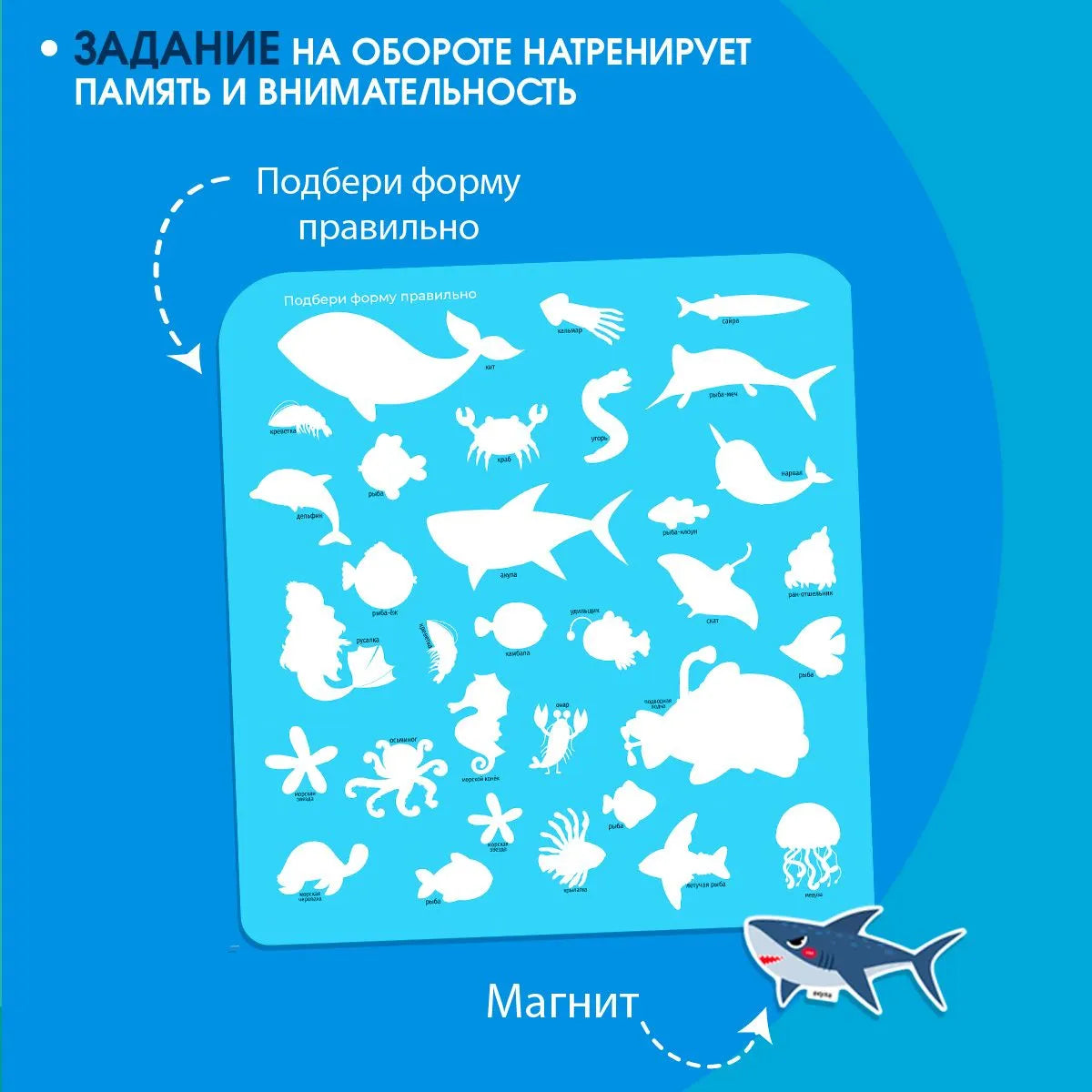 Книжка-панорамка с магнитными стикерами. Морские животные