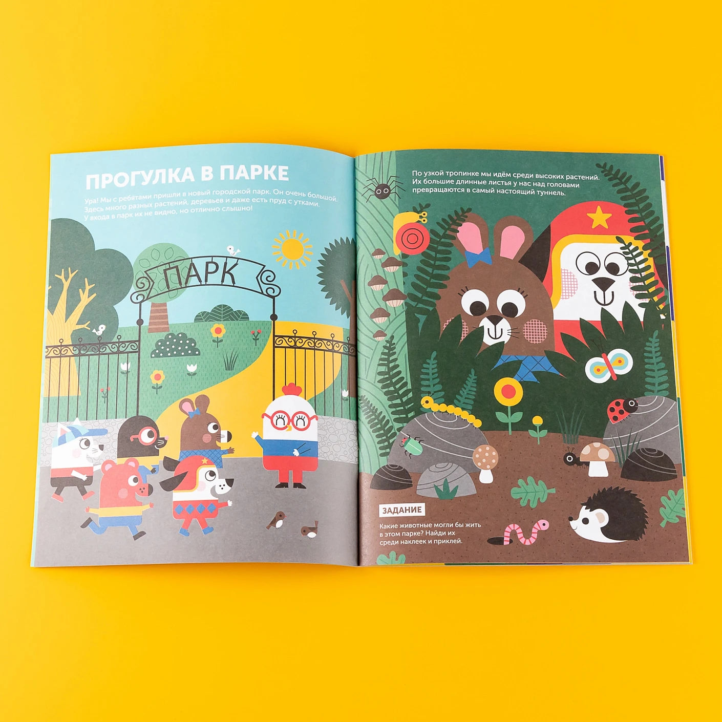 Тибо. Журнал, с которым можно играть. Пять чувств