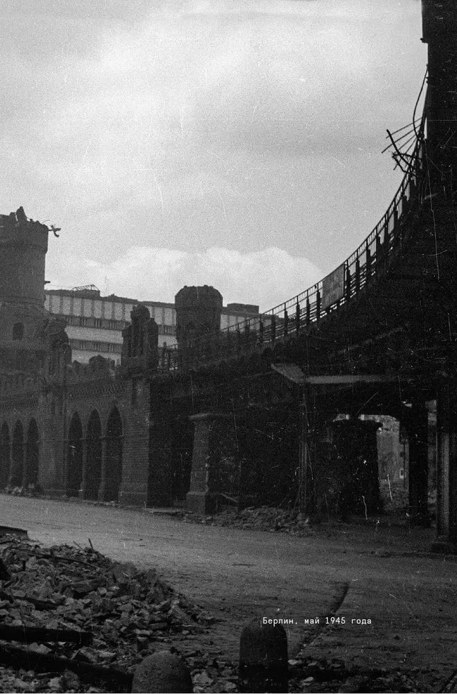 Волчье время