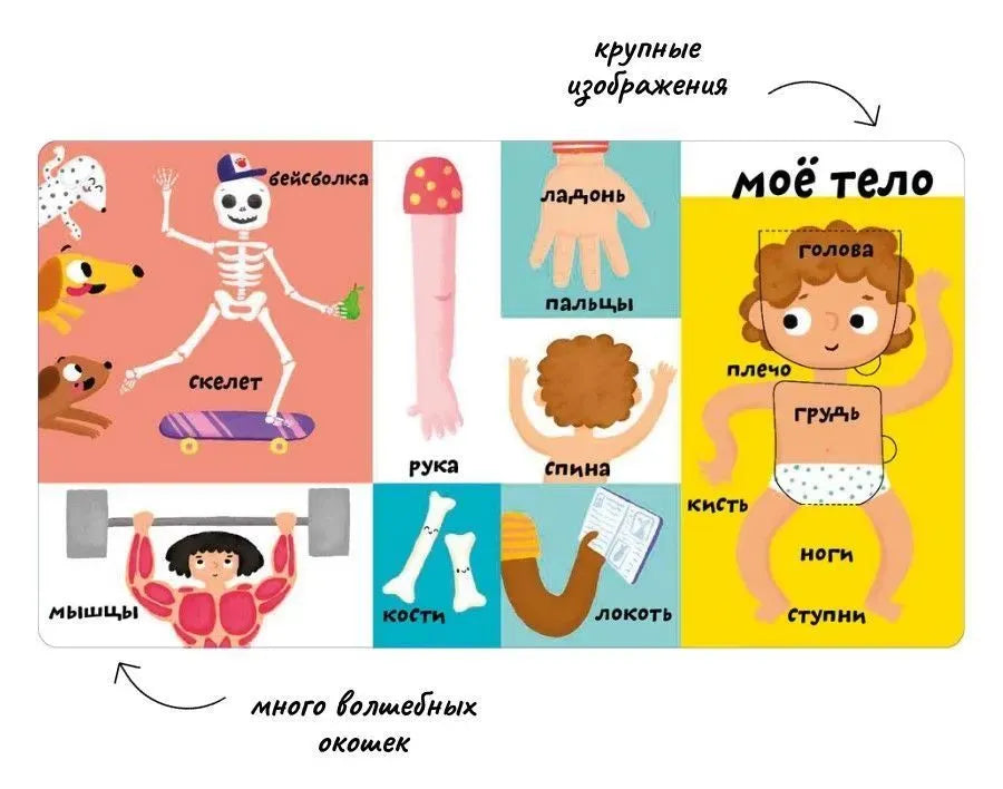 Мои первые 100 слов с окошками. Мое тело