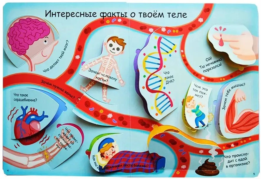 Волшебные окошки. Как все устроено?