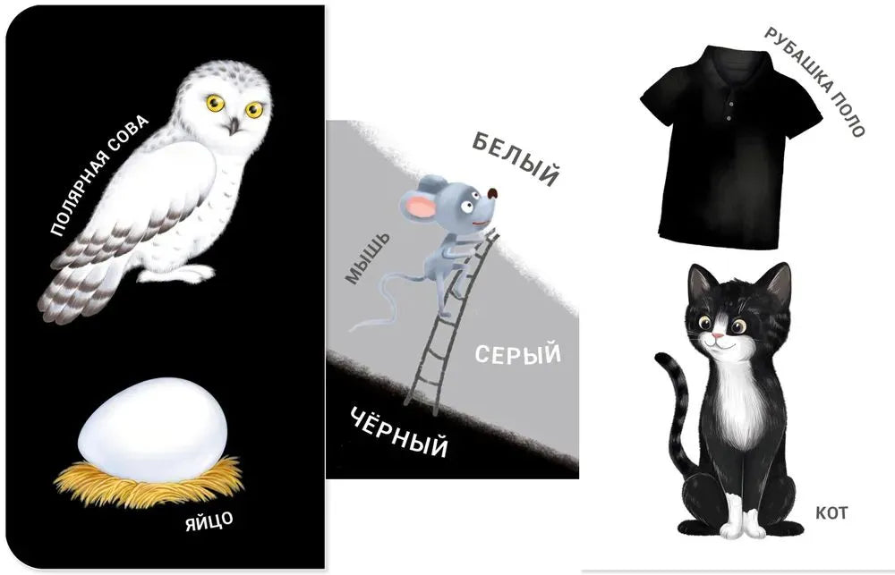 Книжки - задвижки. Какой это цвет?