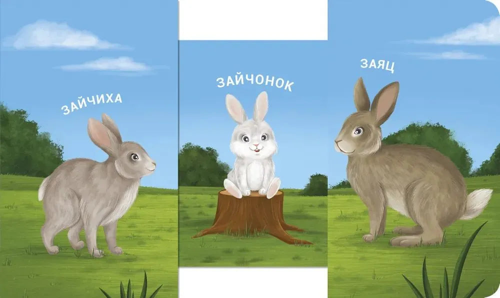 Книжки - задвижки. Мама, папа и малыш. Дикие животные