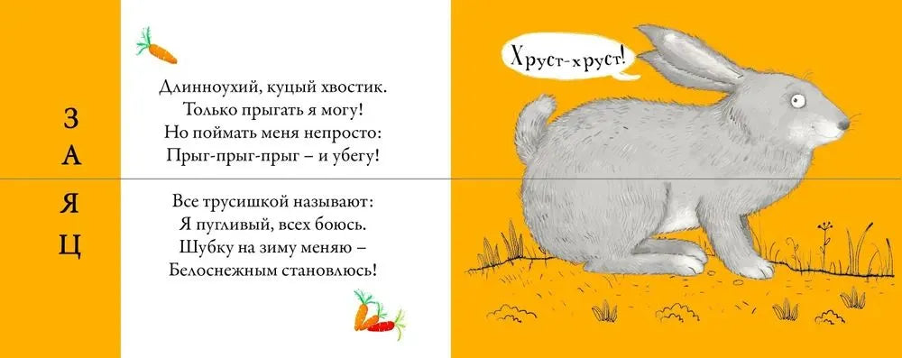 Перевертыши. Лесные животные. Картинки - половинки