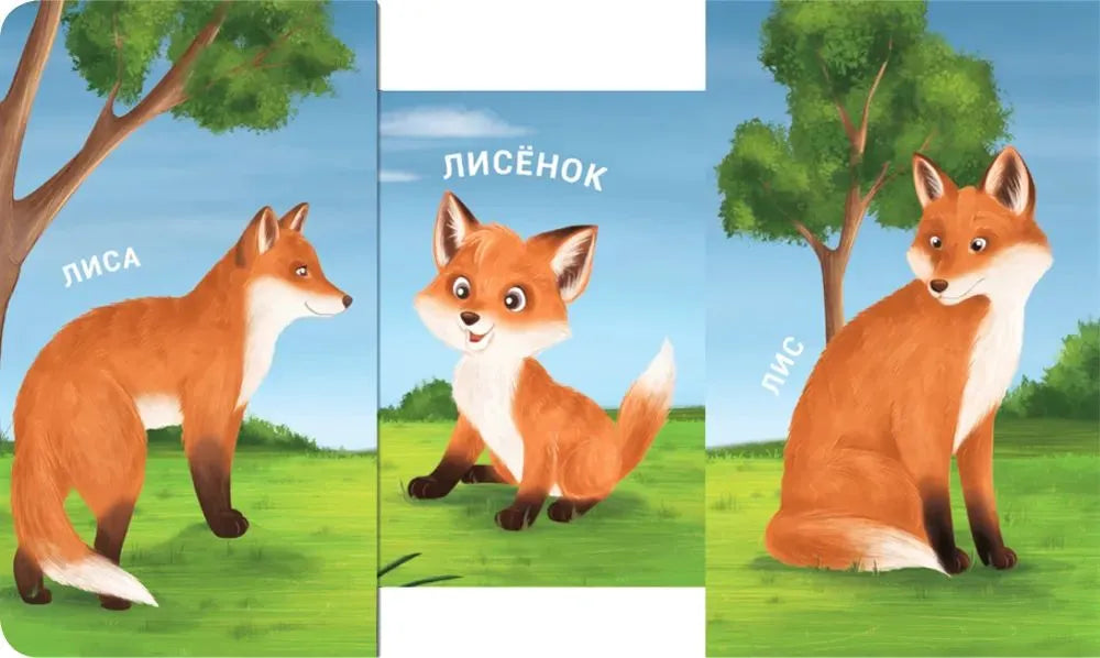 Книжки - задвижки. Мама, папа и малыш. Дикие животные
