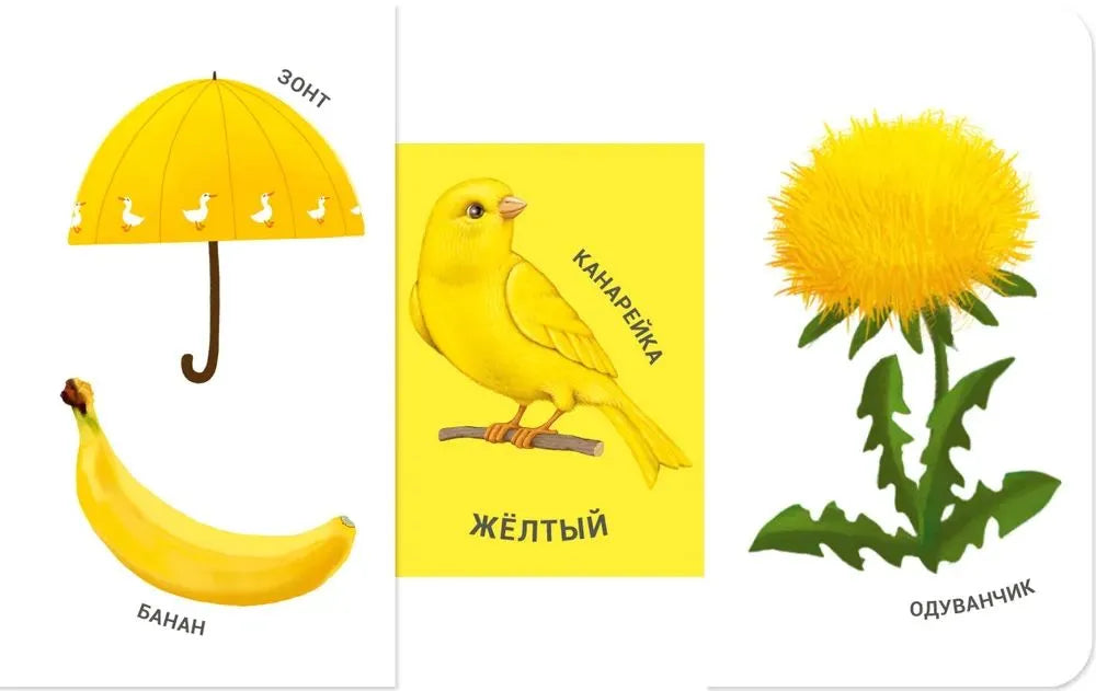 Книжки - задвижки. Какой это цвет?