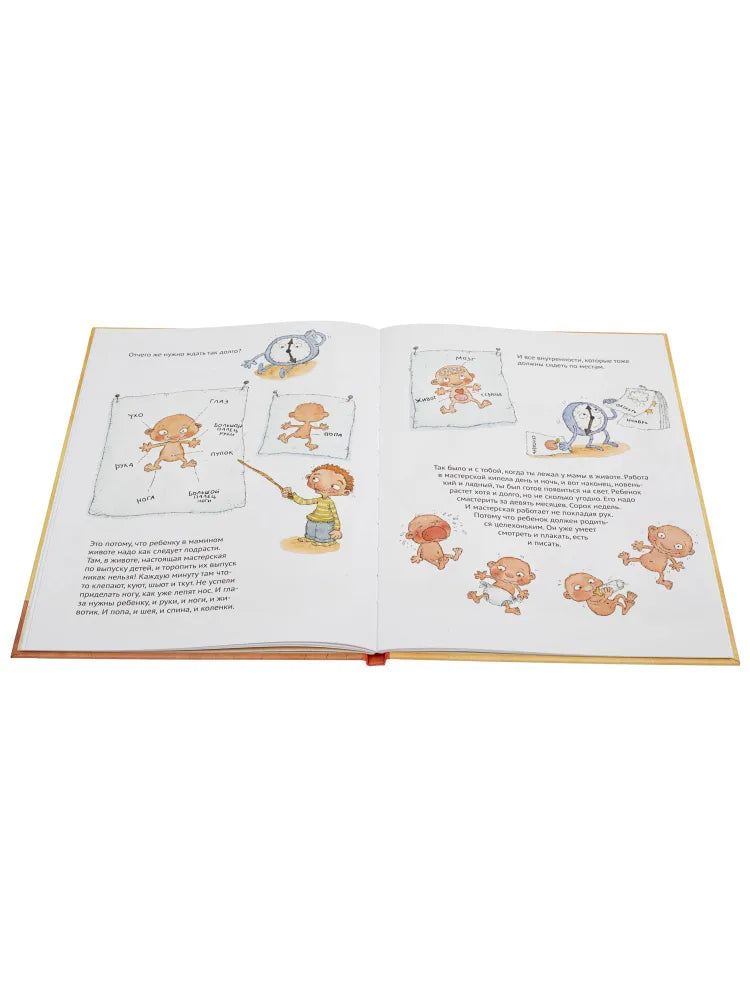 Как я появился на свет