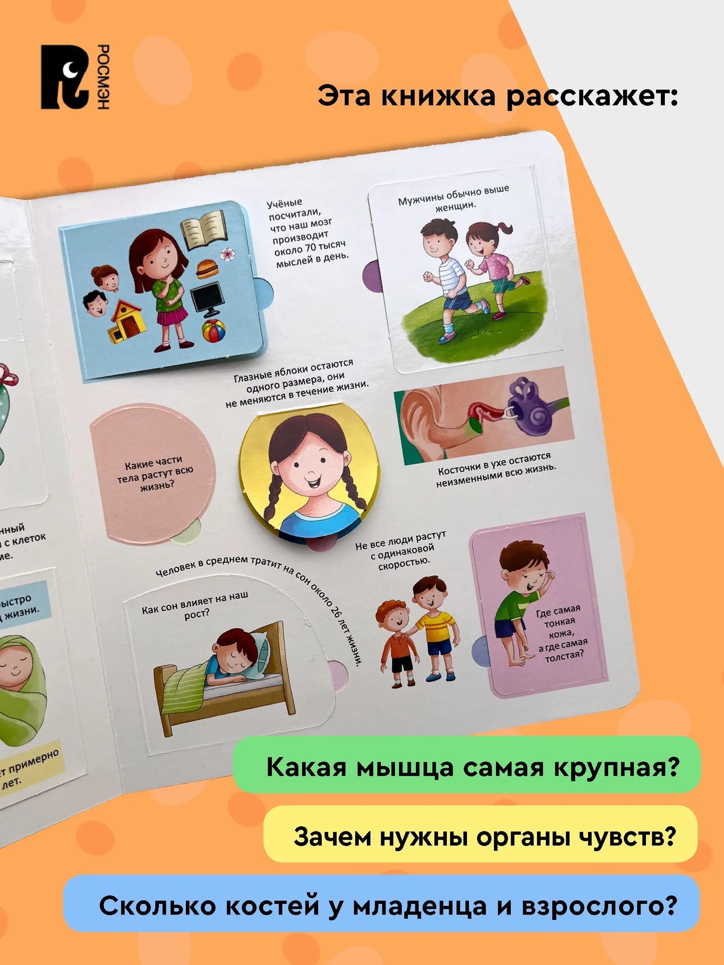 Тело человека. Энциклопедия с окошками