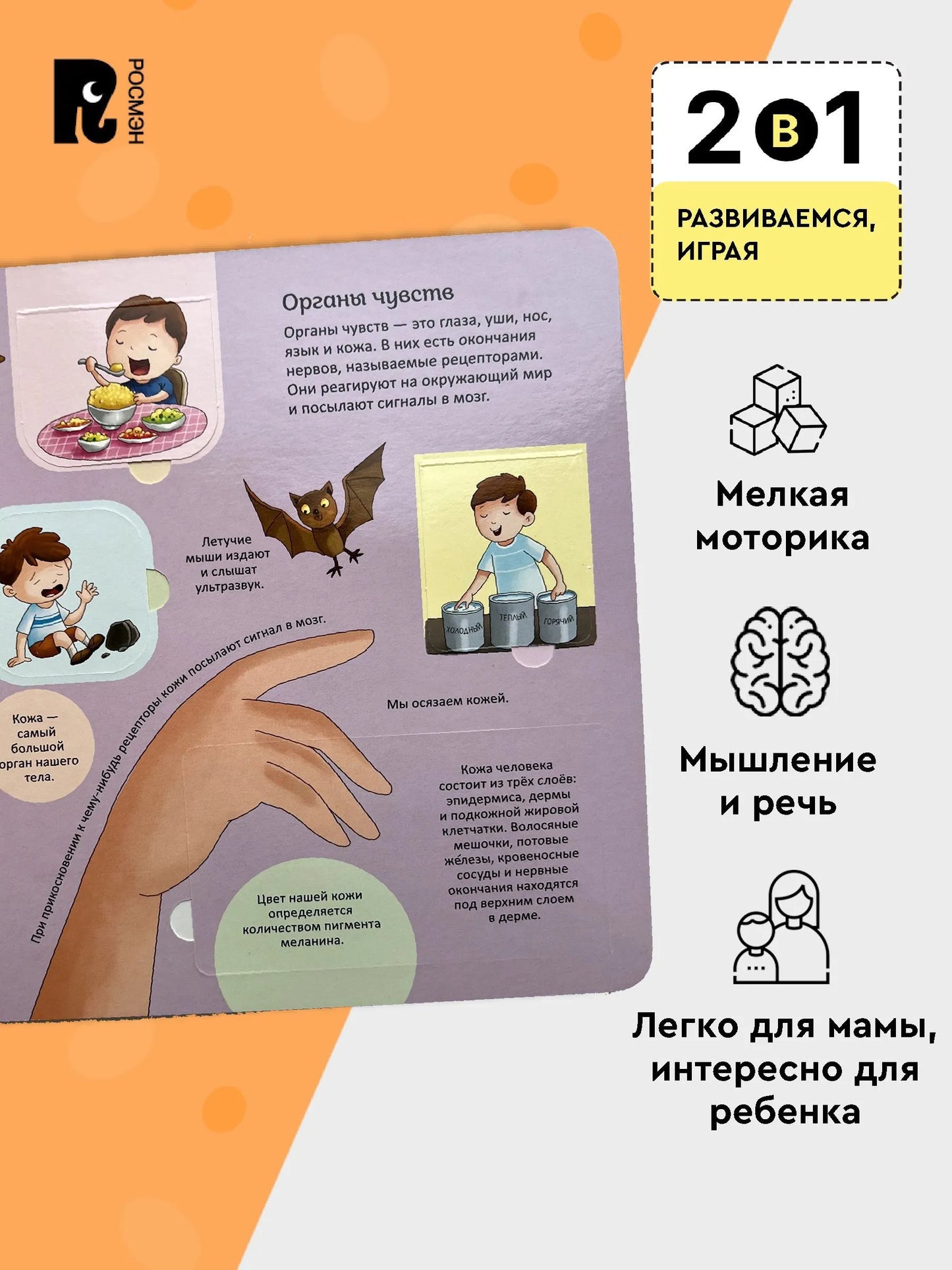 Тело человека. Энциклопедия с окошками