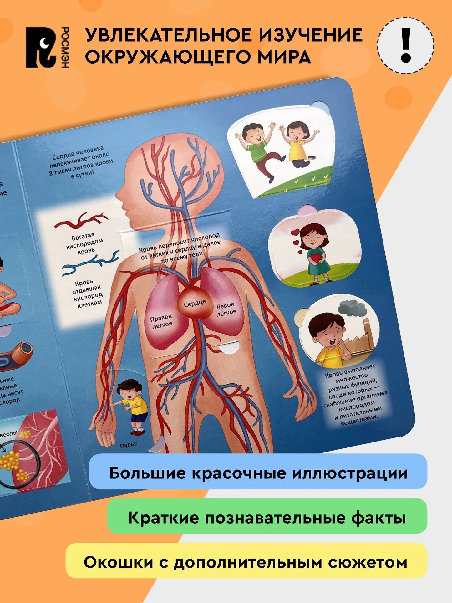 Тело человека. Энциклопедия с окошками