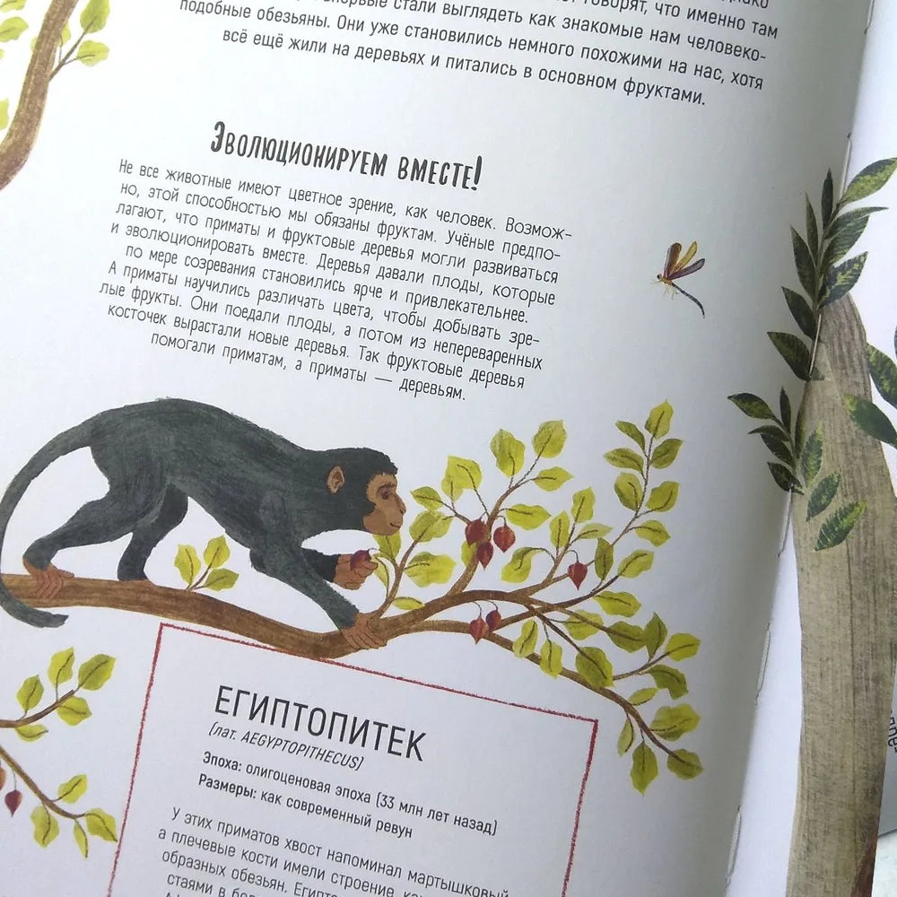 Как мы стали людьми