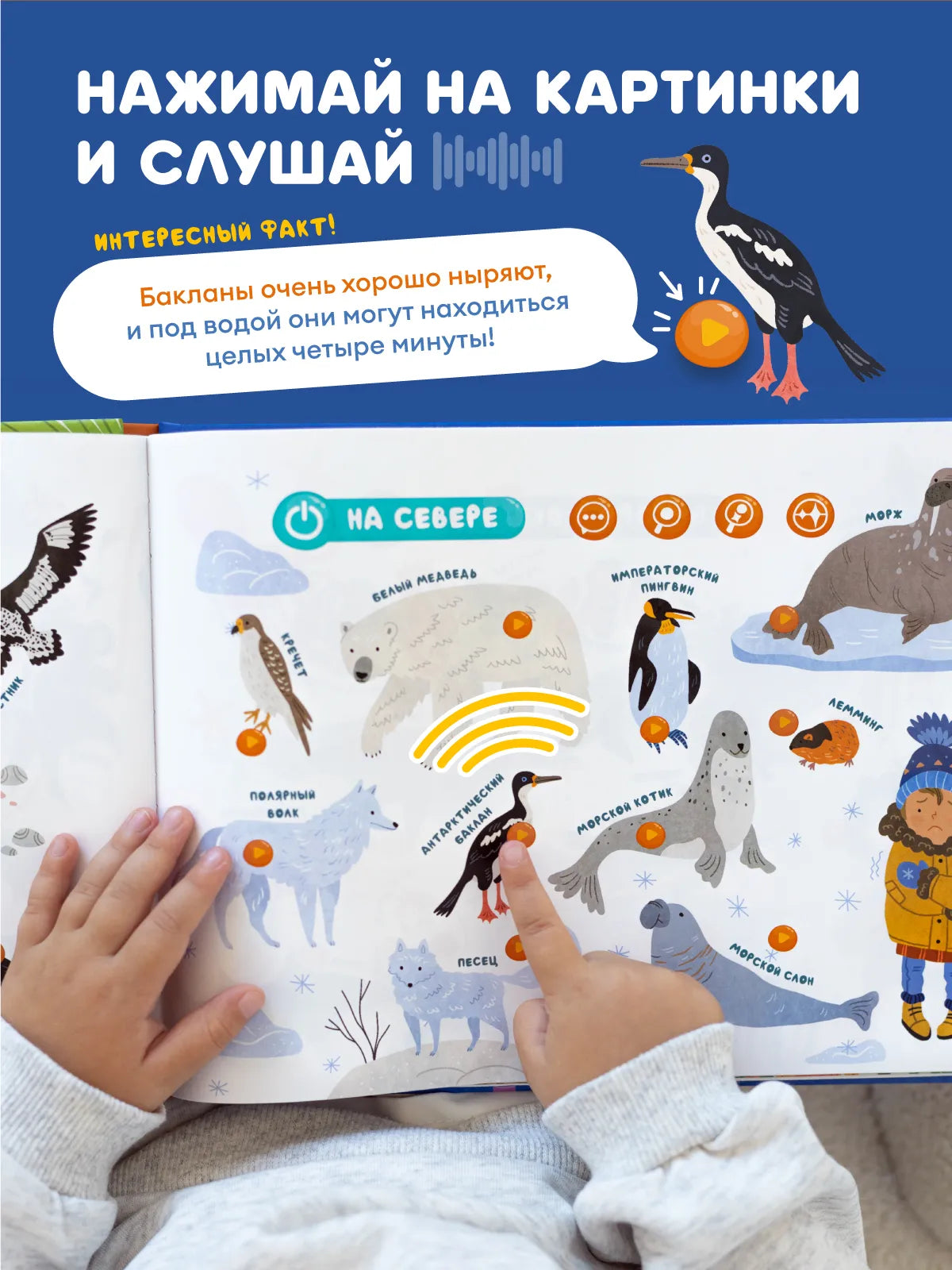 Интерактивная книга Fingerbook «Какие бывают животные»