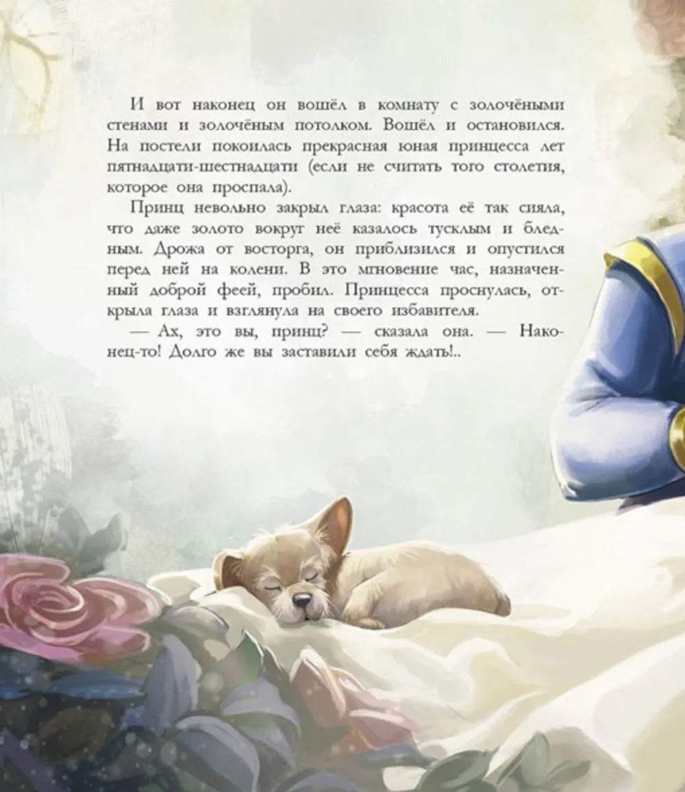 Спящая красавица / ДХЛ "Стрекоза"
