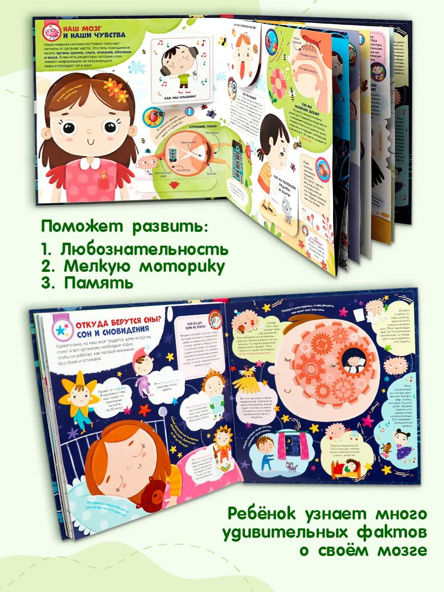 Интерактивная энциклопедия. Мозг