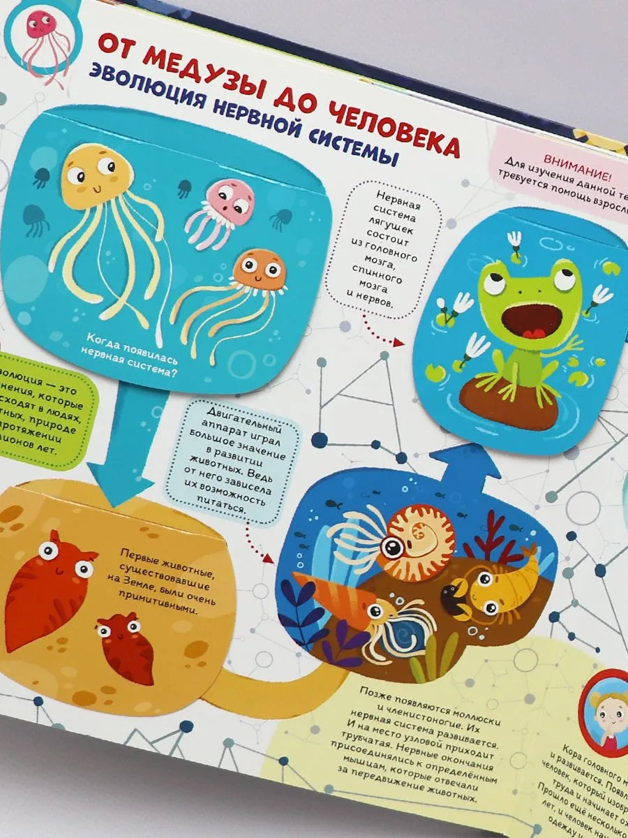 Интерактивная энциклопедия. Мозг