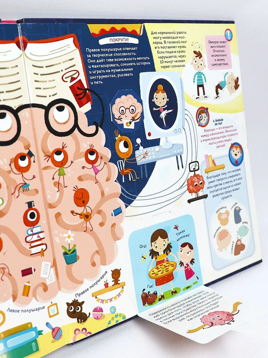 Интерактивная энциклопедия. Мозг