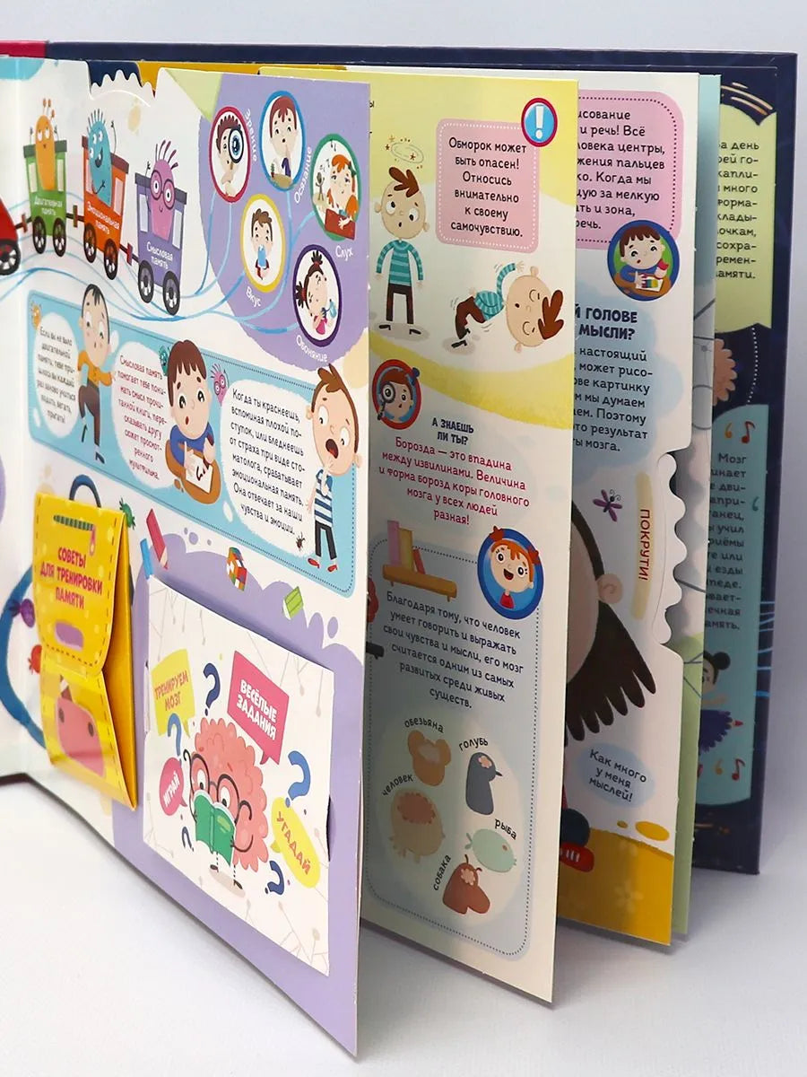 Интерактивная энциклопедия. Мозг