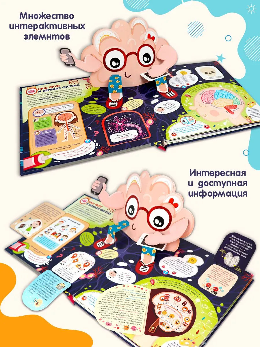 Интерактивная энциклопедия. Мозг