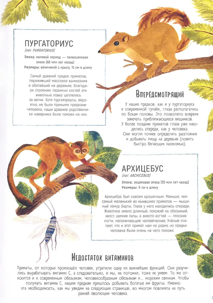 Как мы стали людьми
