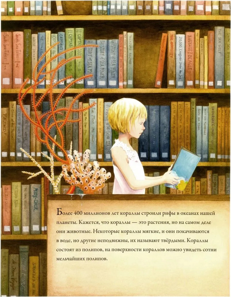 Коралловые рифы