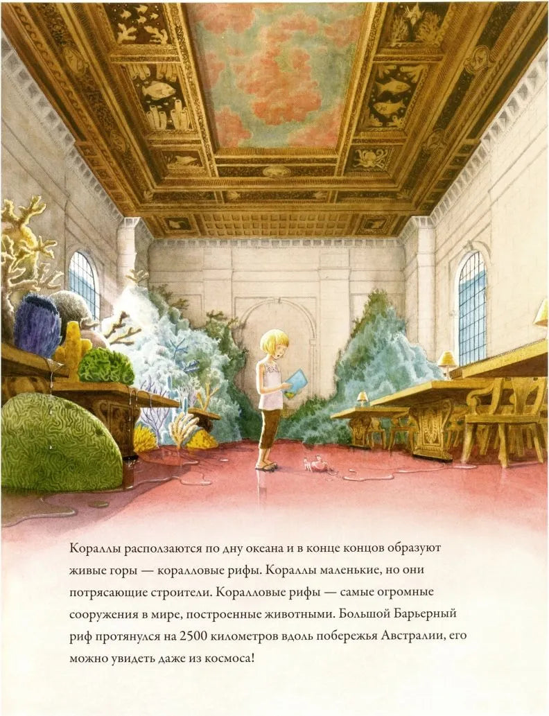 Коралловые рифы