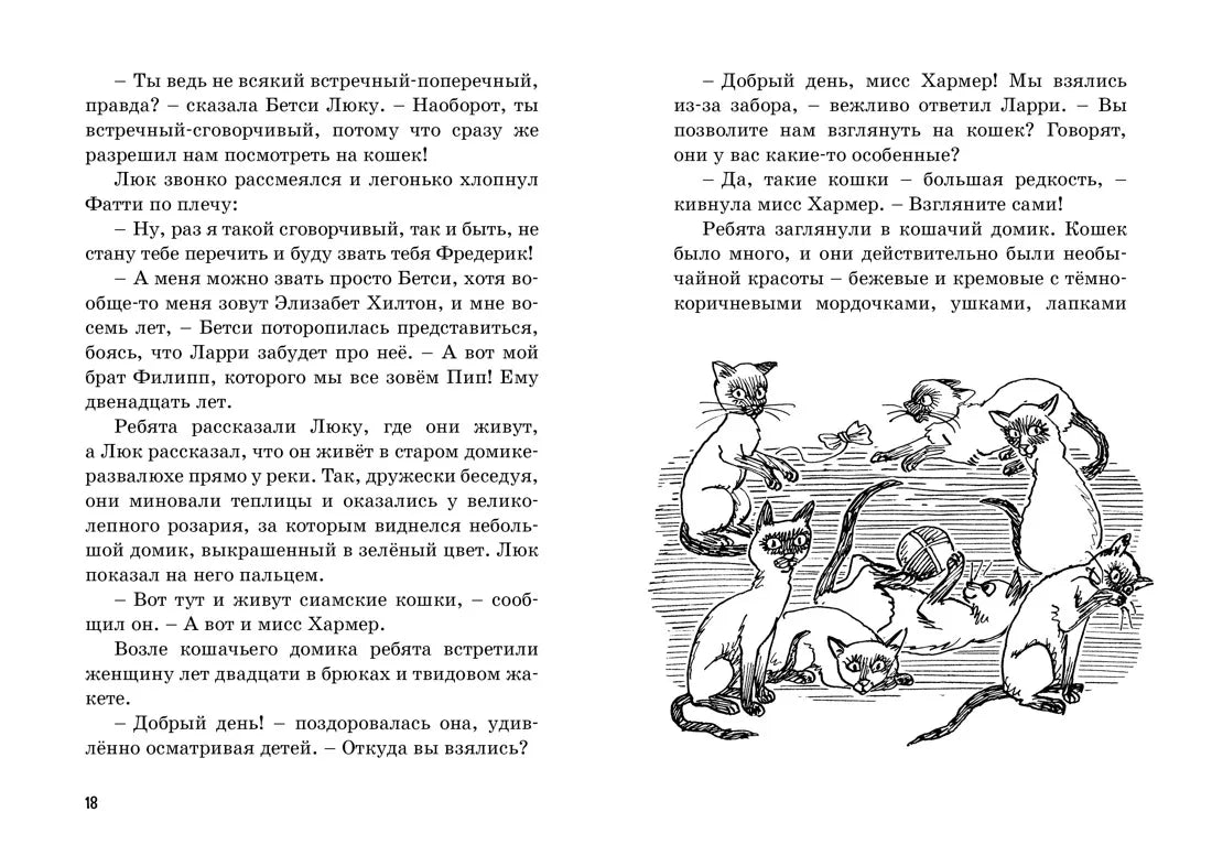Блайтон Э. Тайна пропавшей кошки