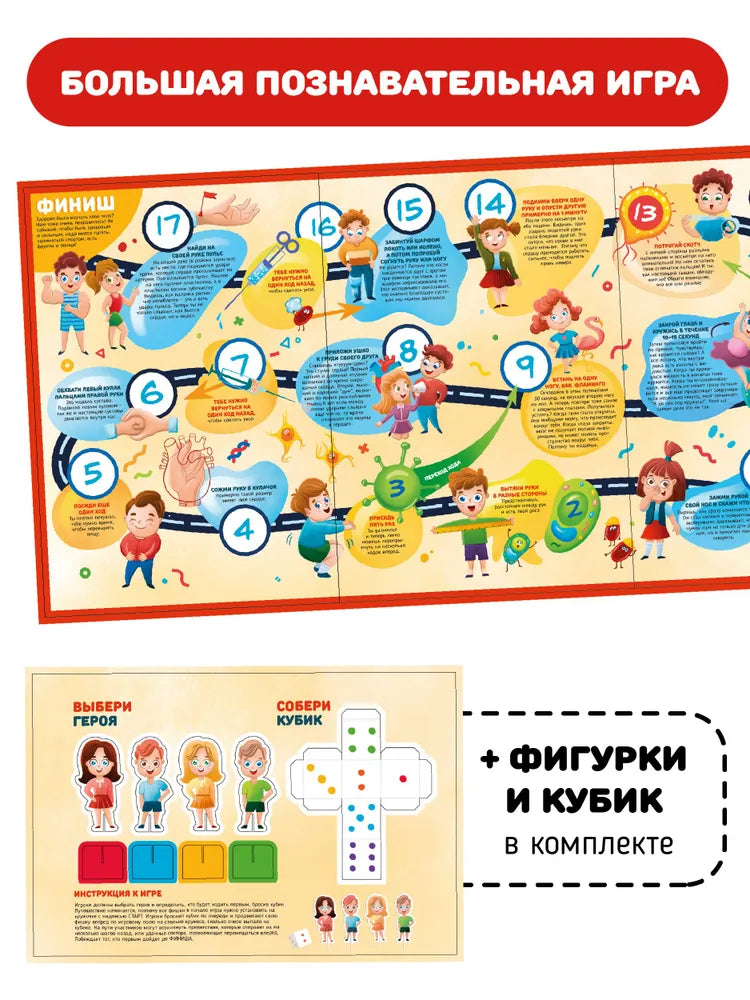 Анатомия. Книжка для самых маленьких с окошками "Что внутри человека"