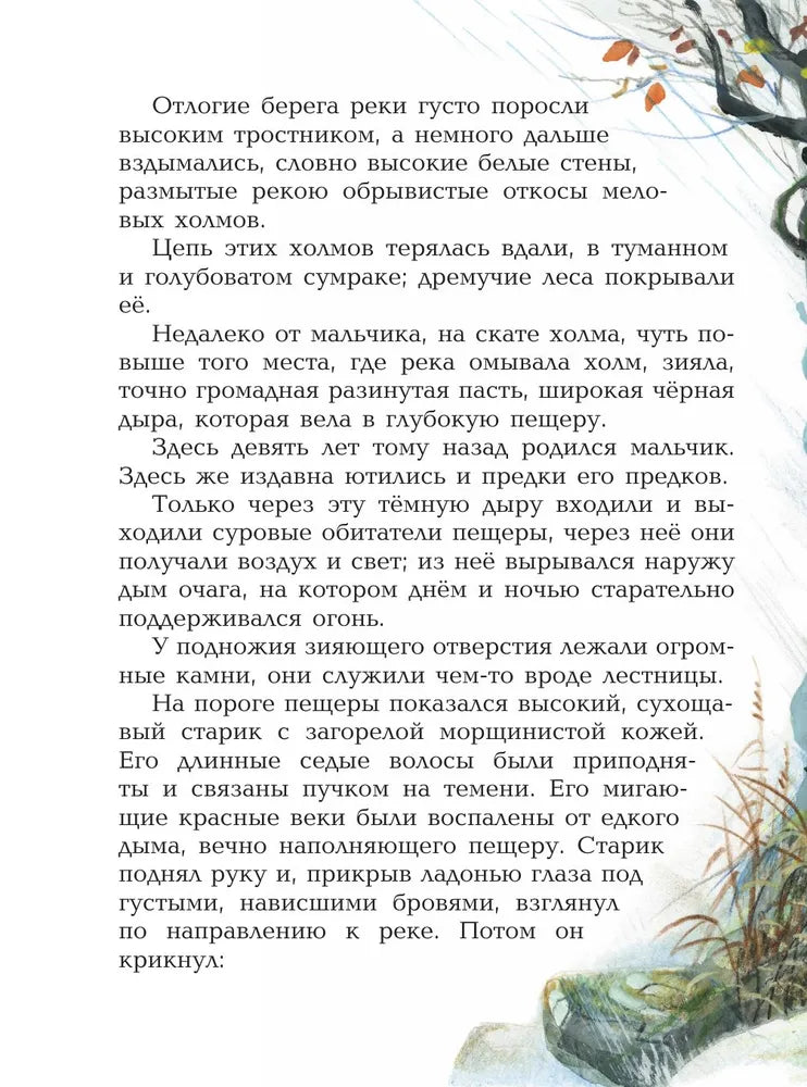 Приключения доисторического мальчика (ил. В. Канивца)
