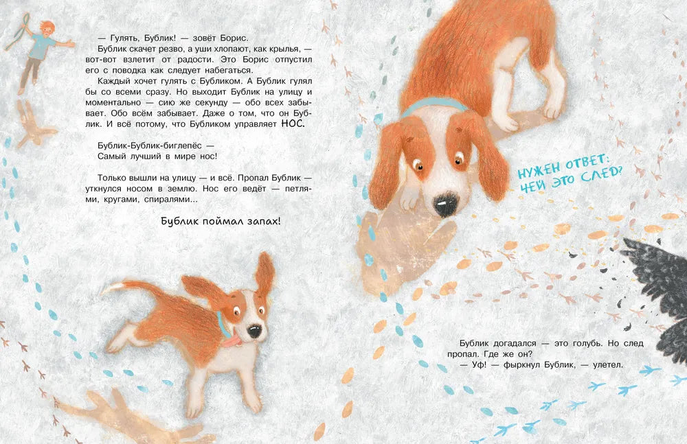 Бигль Бублик ищет дом