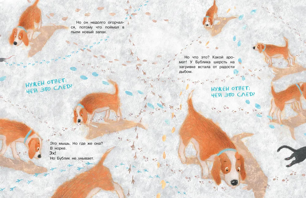 Бигль Бублик ищет дом