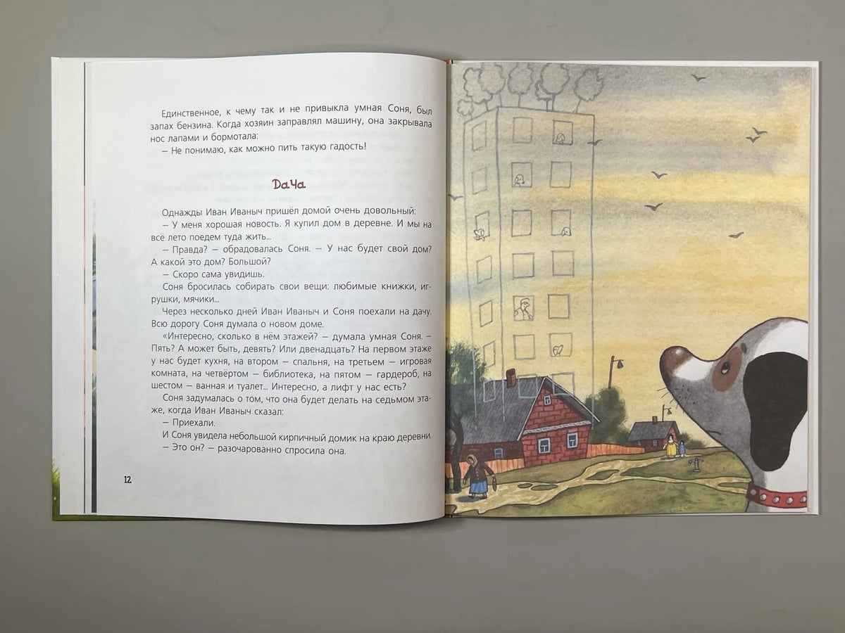 Собачка Соня на даче / Усачев А.