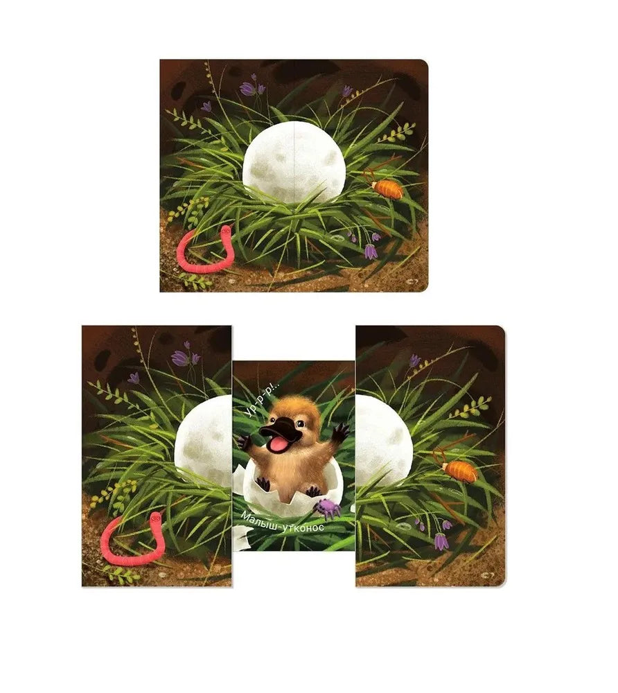 Книжки - задвижки. Кто там  внутри?