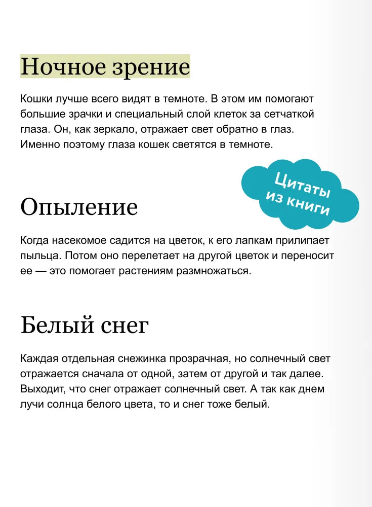 Что, где и почему? Самые интересные детские вопросы о мире вокруг