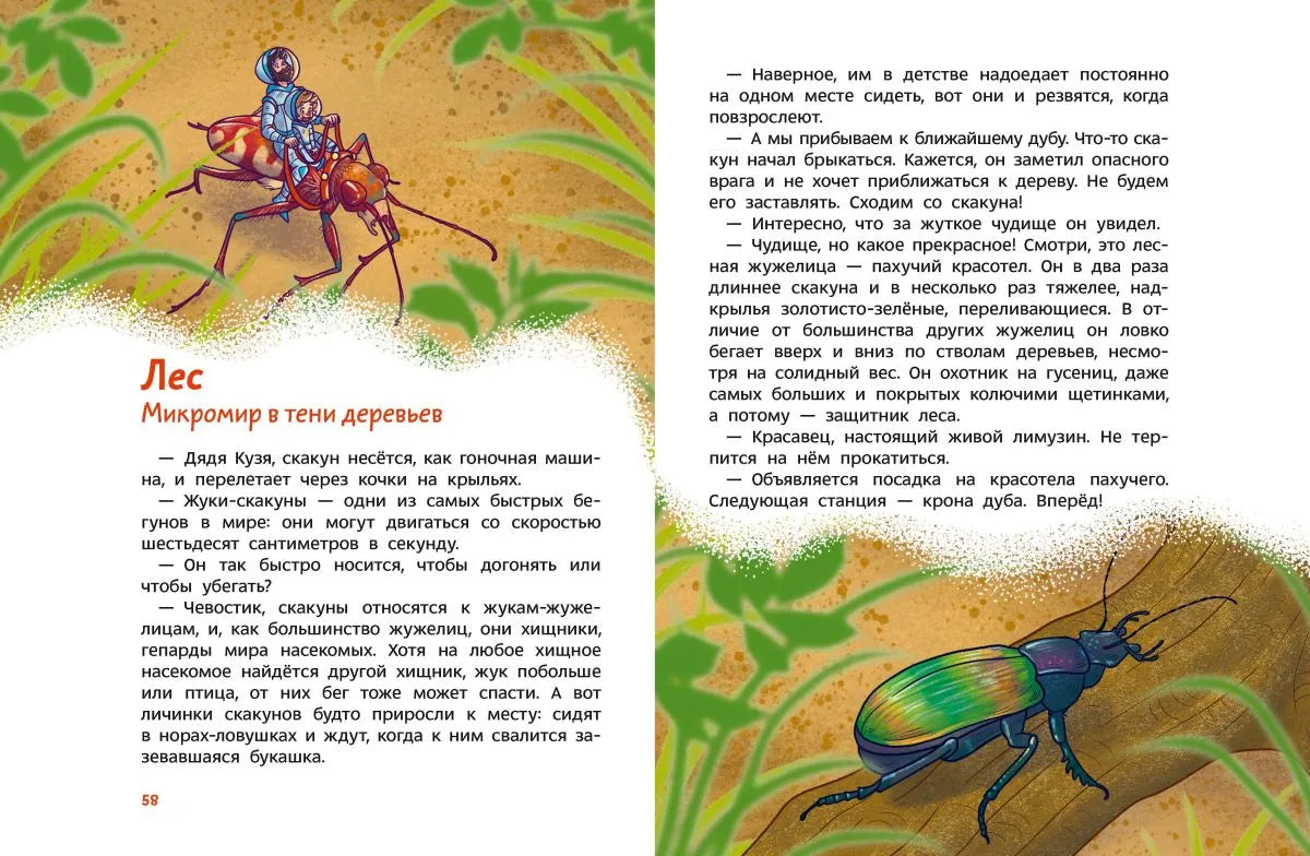 Насекомые и пауки. Детская энциклопедия (Чевостик)