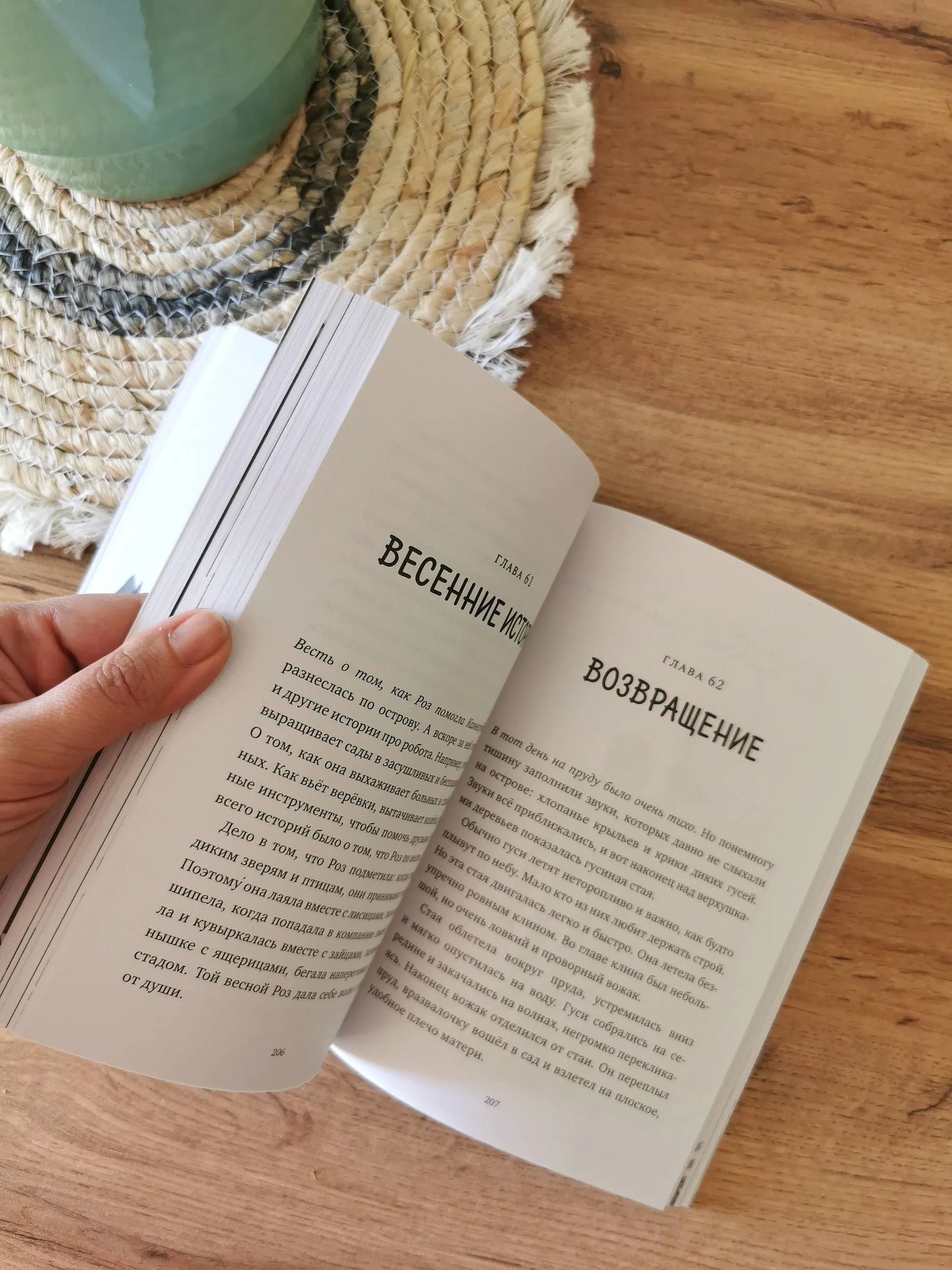 Дикий робот (мяг.обл)  / Питер Браун