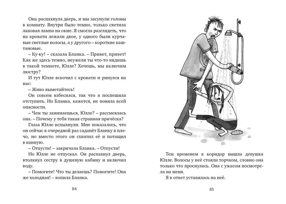 Астрид и Амир. Тайна секретного кода