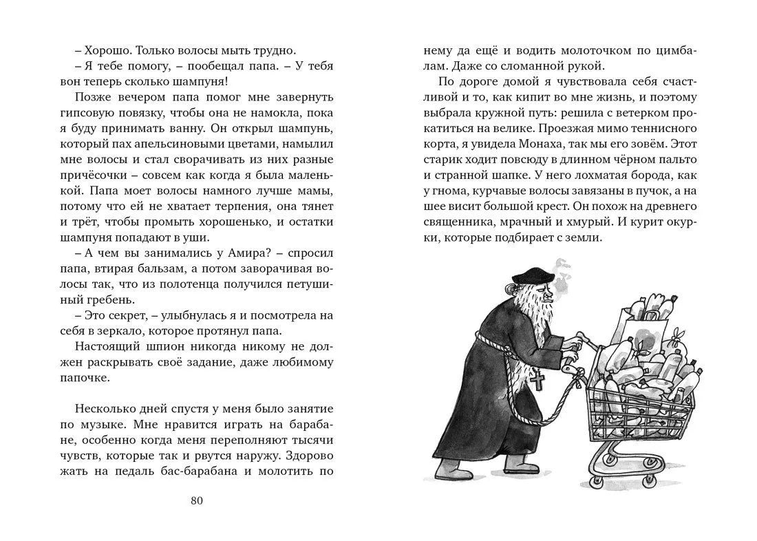 Астрид и Амир. Тайна секретного кода