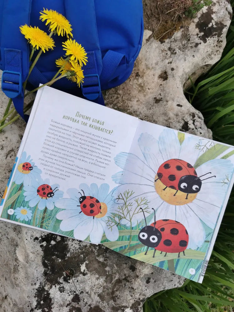 Что, где и почему? Самые интересные детские вопросы о мире вокруг