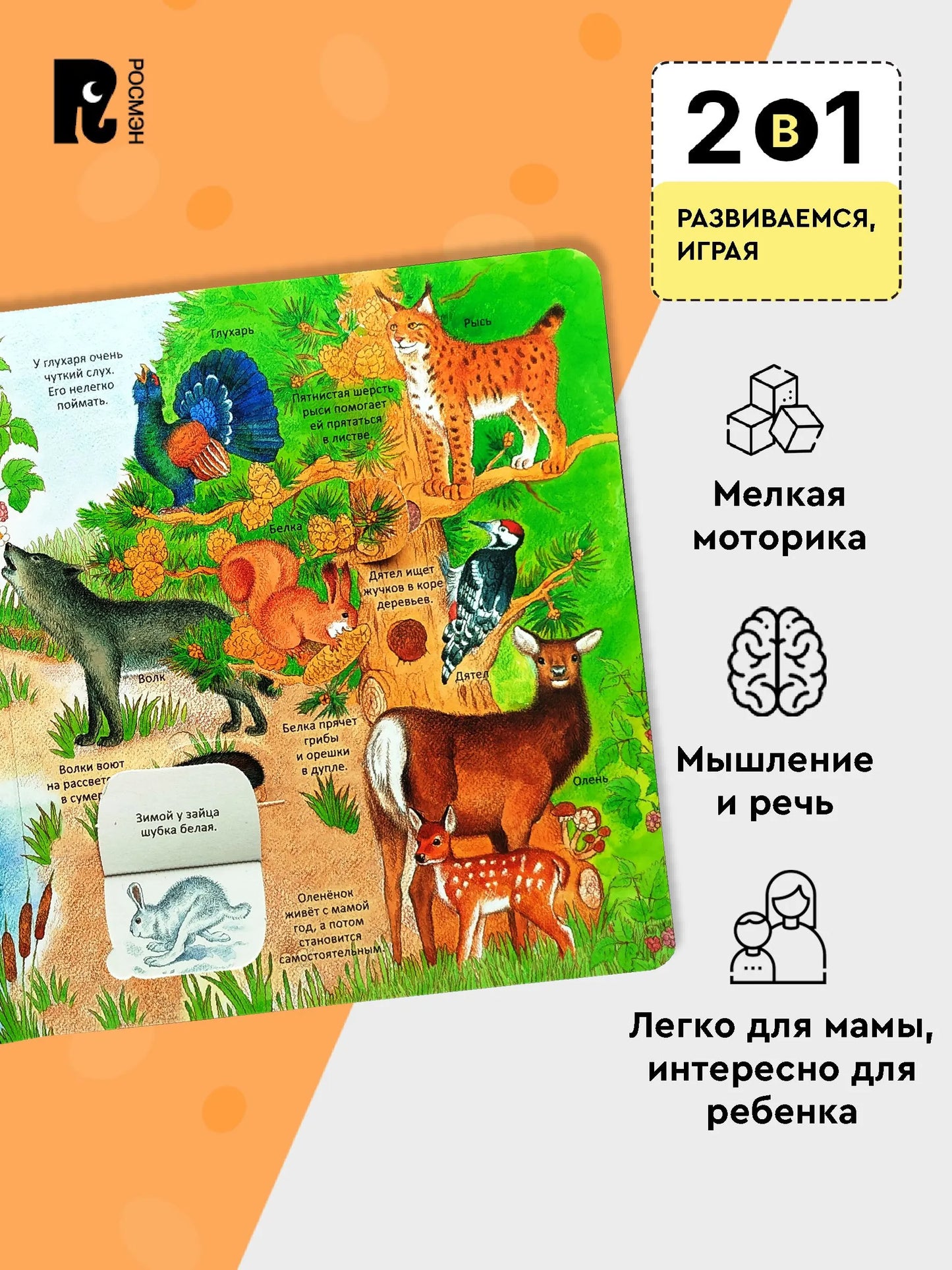 Удивительные животные. Энциклопедия с окошками