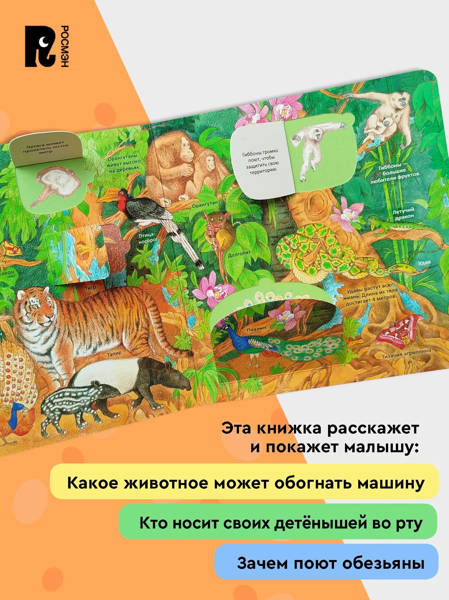 Удивительные животные. Энциклопедия с окошками