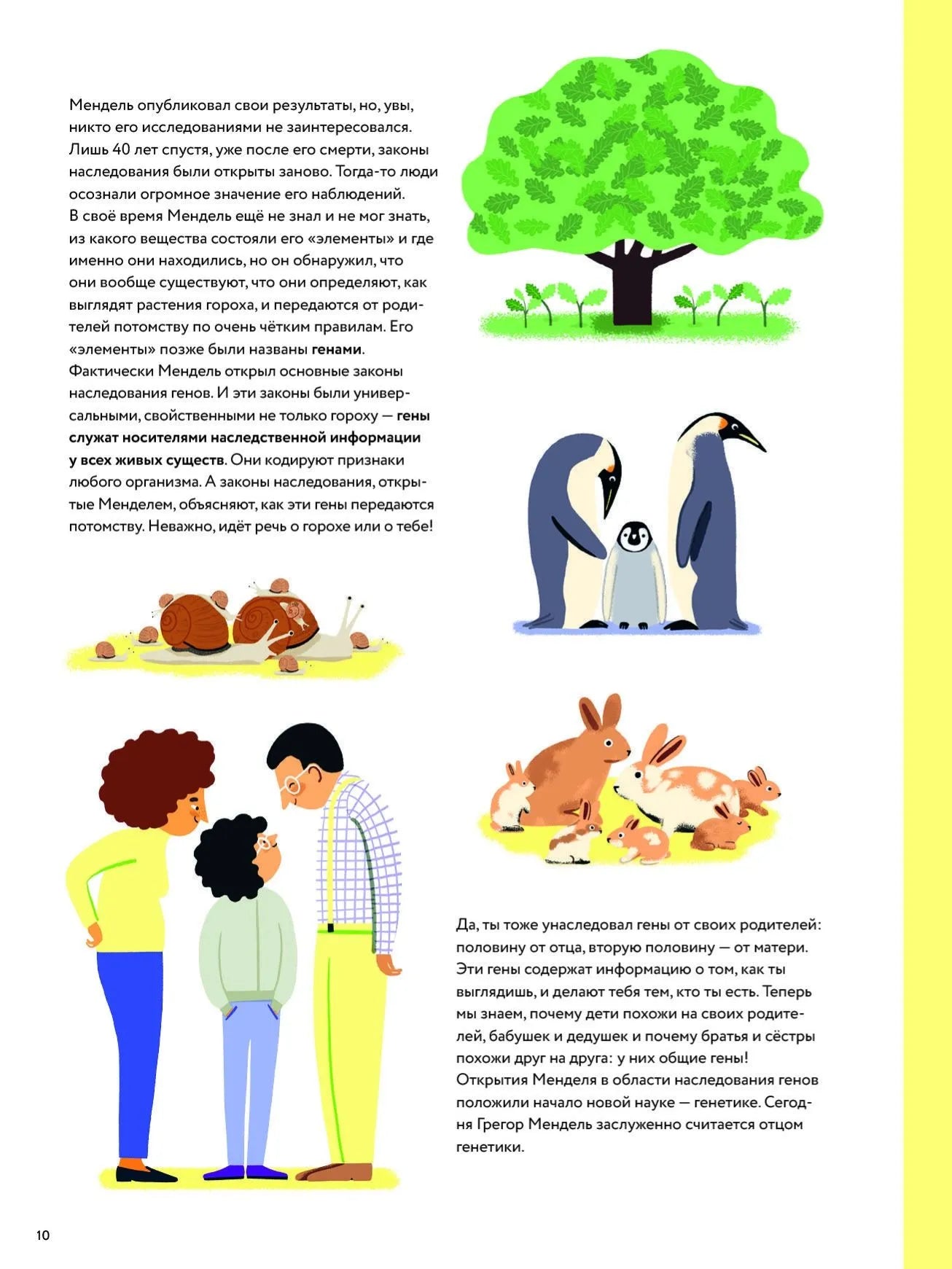 ДНК: код жизни. Автор: Карла Хэфнер