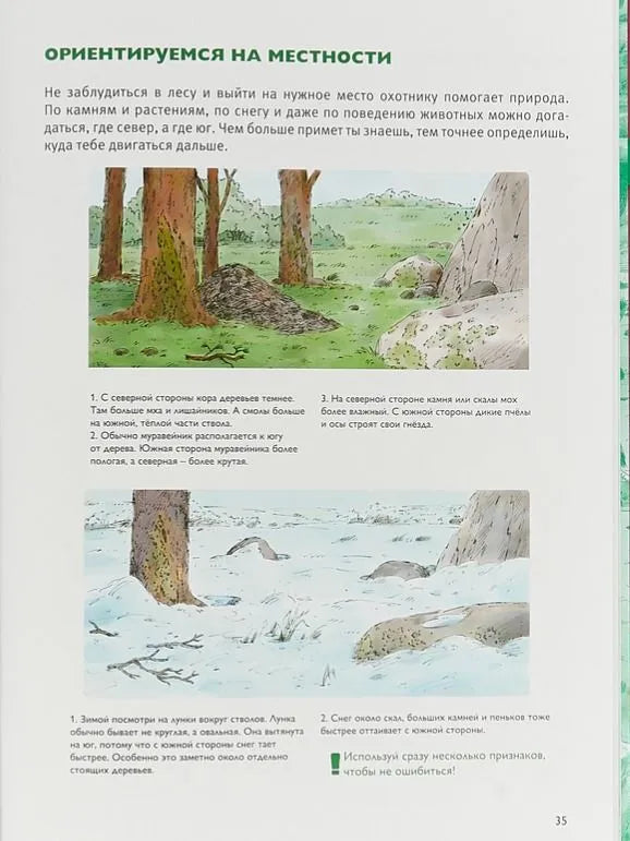 Мы живём в каменном веке. Энциклопедия для детей Автор: Екатерина Завершнева