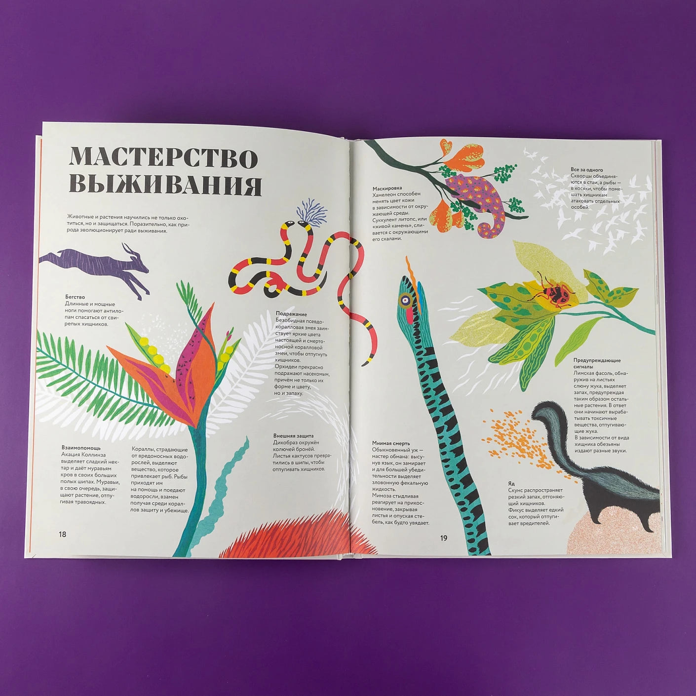 Чудесная книга смерти