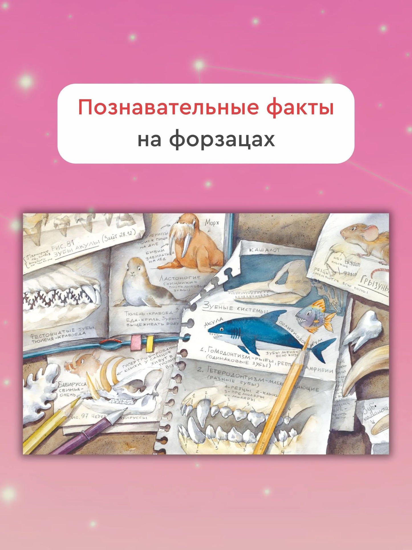 Лети скорей, зубная фея! / Алёна Кашура