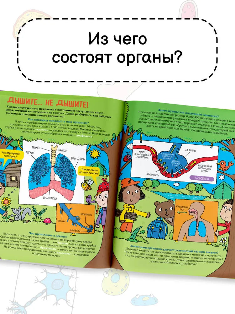 Тело человека. Энциклопедия для детей